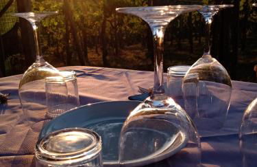 Poggio agli Ulivi vicolo di Colle Reti 22 Frascati - Foto 43