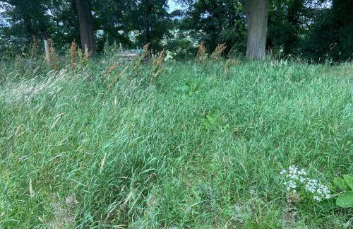 Beautiful Bungalow in Wetheral - Foto 33