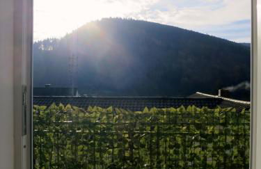 Ferienwohnung/Monteurwohnung Meiser - Foto 35