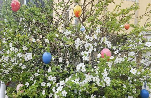 Dresden Rooftop Apartment mit 2 Balkone, Stellplatz, Top Anbindung - Foto 48