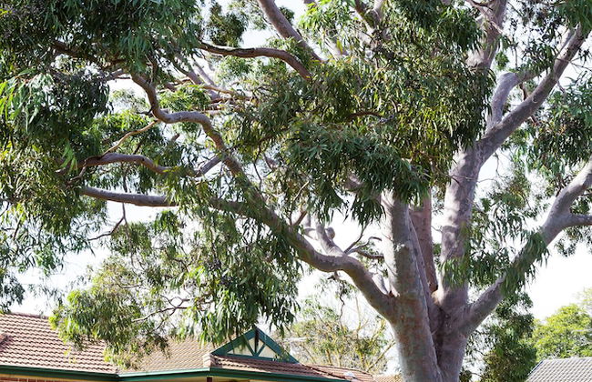 Park Avenue - Forest Hill - Photo 40