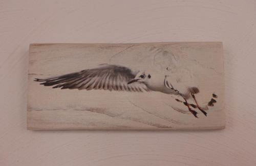 Alter Krämerladen von 1732 - Foto 34