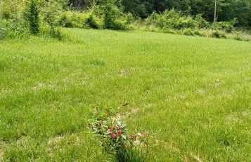 Casa Biron - Foto 67