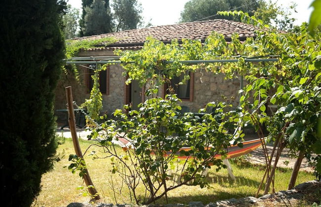 Pie' d'Ulivo - Foto 30