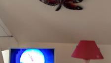 la ville à la campagne - Photo 2