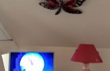 la ville à la campagne - Photo 2