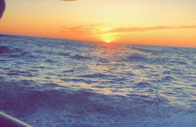 A Murella - maison de vacances à Oletta en Corse - Foto 33