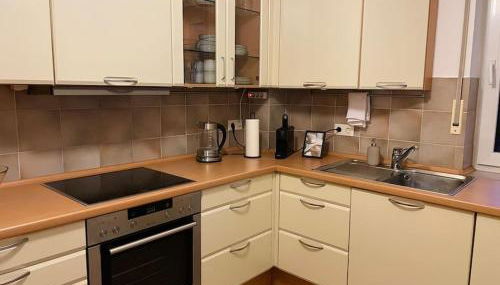 Gemütliche Wohnung in Bad Homburg vor der Höhe - Foto 5, stove