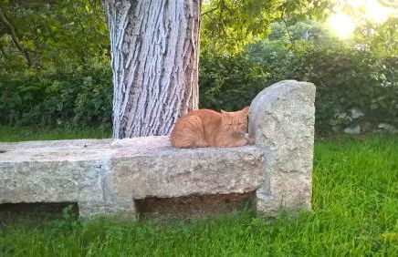 Casale del Forno - Foto 50