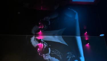 Red Room by Loveroomeo - Foto 5