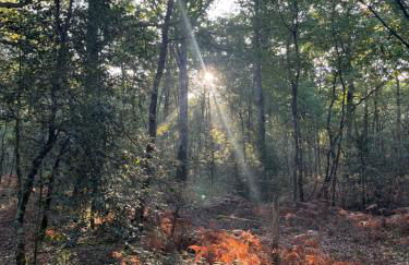 La grange d'Elise - Photo 46