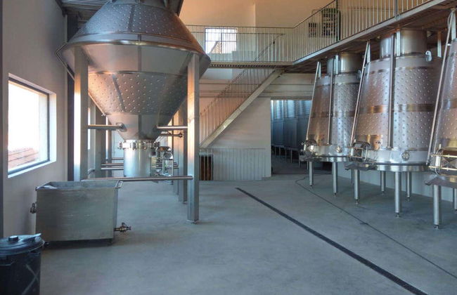 Quinta São Luiz Wine Tasting - Photo 4