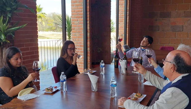 Aguascalientes Private Winery Tour - Foto 3