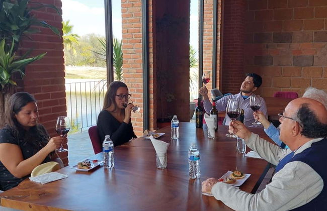 Aguascalientes Private Winery Tour - Foto 3