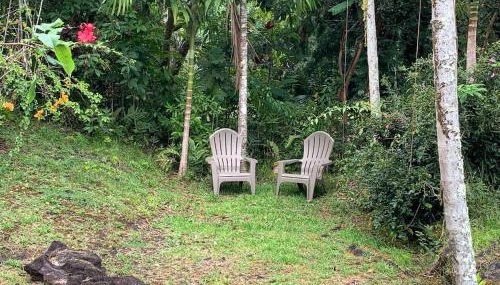 Tropical Jungalow Near the Ocean Cliffs - Foto 5