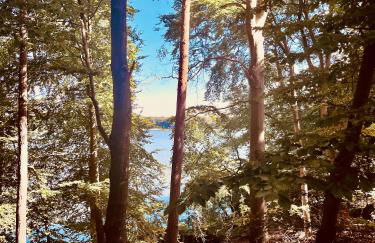 Landhaus Himmelpfort - Foto 11