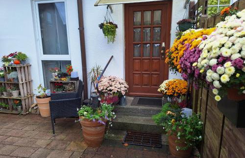 Pension Entenhausen - Foto 29