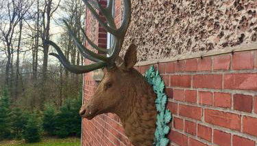 Alte Försterei Goldbeck - Foto 4