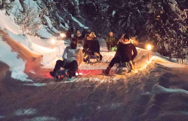 Paseo en trineo por los Alpes berneses - Foto 8