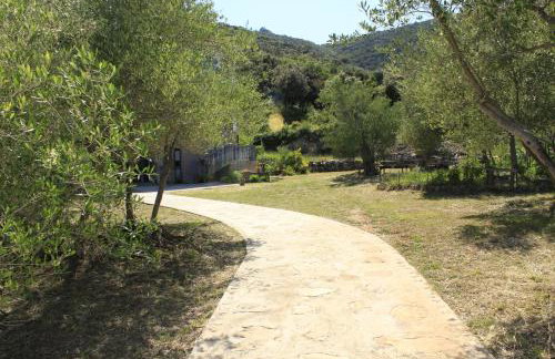 Apartments Bubica - Photo 6