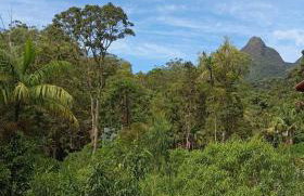 Cabana Jandaia - Foto 34