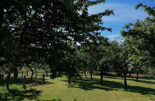 Gite LA ROCHERIE - Photo 42