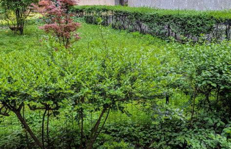 Casa Fabiana - Foto 28