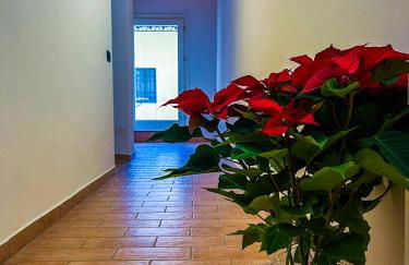 House Brennero 29 - Foto 28