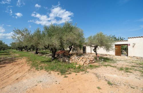 Casa en olivera a 3 km de la costa - Foto 26