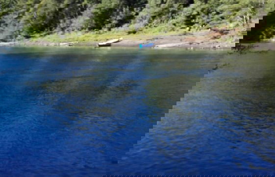 Cabaña Rústica 2 Maravillosa,con Troncos Nativos, con Orilla de Río Trancura - Photo 54