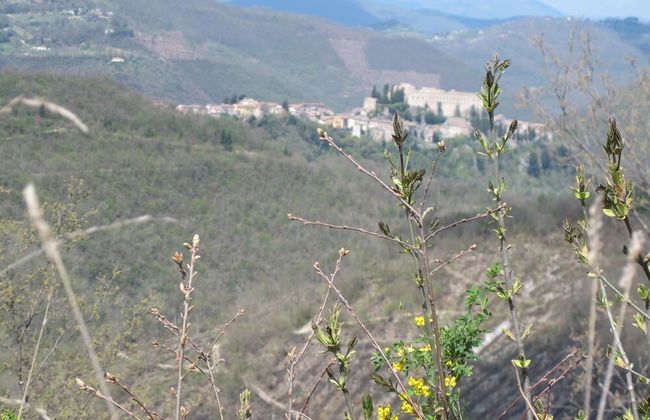 RSH Luxury Casale Sabina Valley - Foto 25