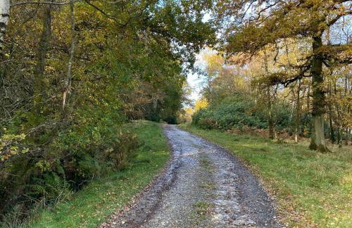 The Boyne Arms Cottage - Foto 13