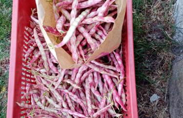 Appartamento Il Castagno - Foto 18