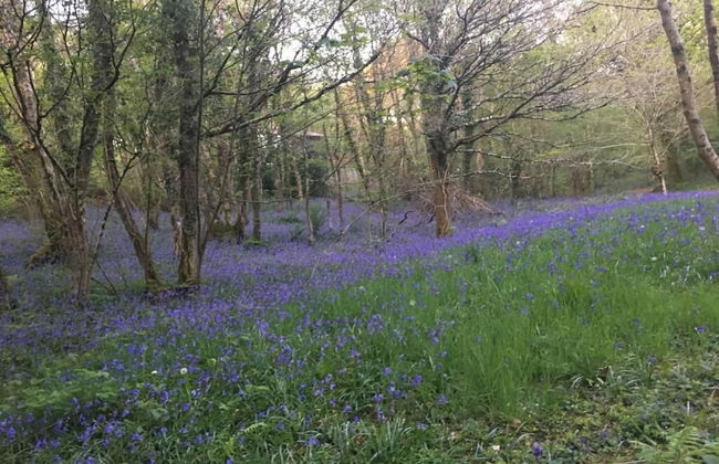 Wren 23 Hot Tub - Foto 9