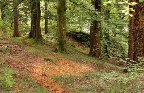 The Courtyard - Foto 24