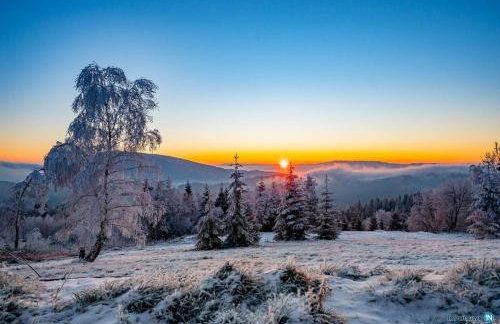 Lipowe Wzgórze Limanowa - Foto 68