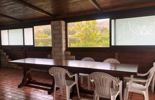 Oasi Bochini - Foto 16