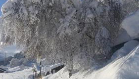 Appartamenti Presanella - Foto 2