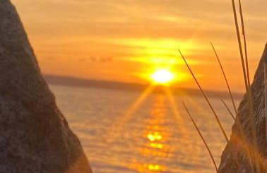 Czarna Perła - Foto 41