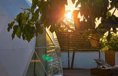 Domo AWA Magia y Naturaleza - Foto 7