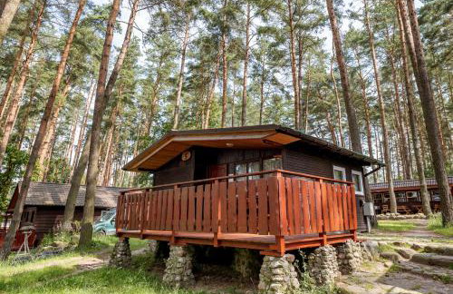 Ośrodek Wypoczynkowy Lubie nad jeziorem - Foto 77