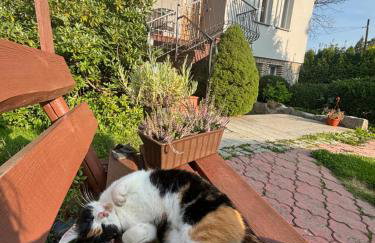 Agroturystyka Natalia - Foto 9