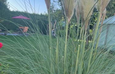 Ferienwohnung Mayer - Foto 23