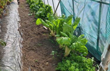 Cal Rosetó - Foto 3