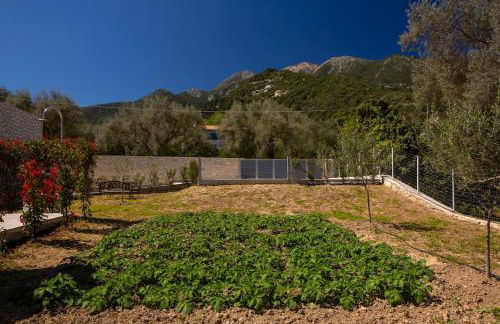 Christdilia villas - Foto 15