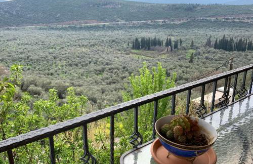 Athena’s House - Foto 14