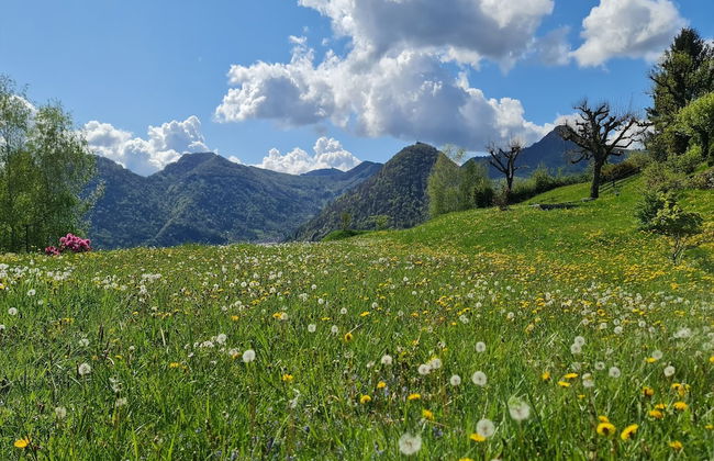 Villa Intelvi - Foto 42