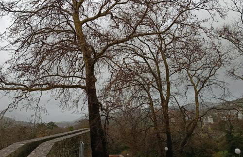 Gaia, Terra, Board Games, Mountain, Spili - Foto 33