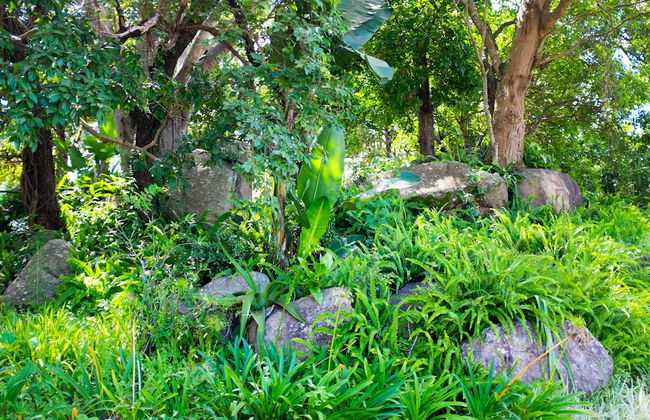 Near2Numbi - Foto 70