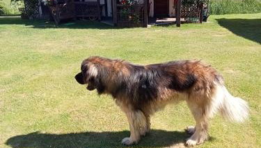 Agroturystyka Dolinka - Foto 2